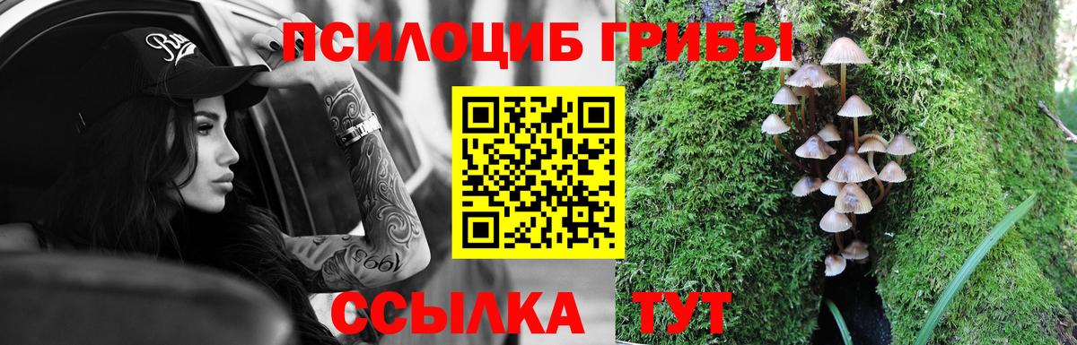 Псилоцибиновые грибы мухоморы  Вход с VPN  Холмск 