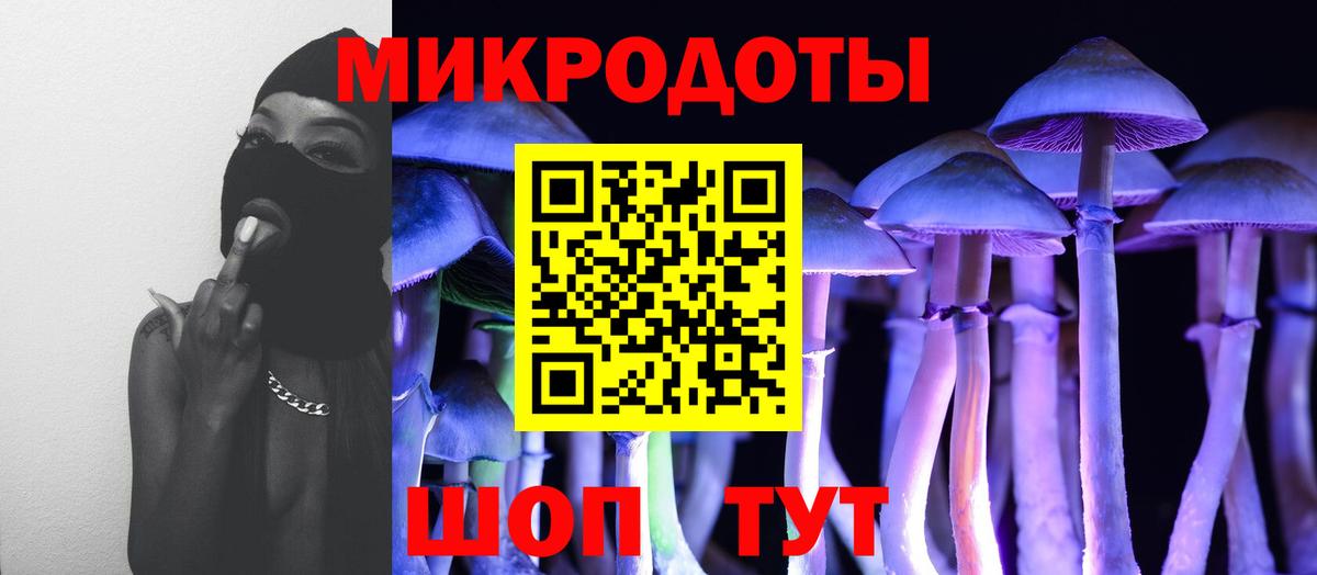 Галлюциногенные грибы мухоморы Холмск